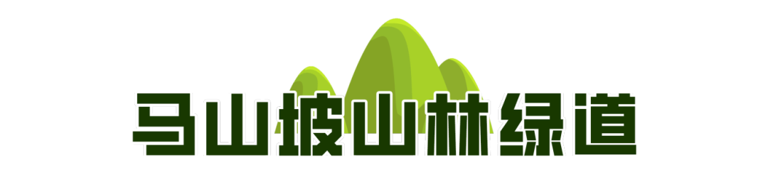 一城山色·泉城绿道 高新区山林绿道打造绿色生活新地标！